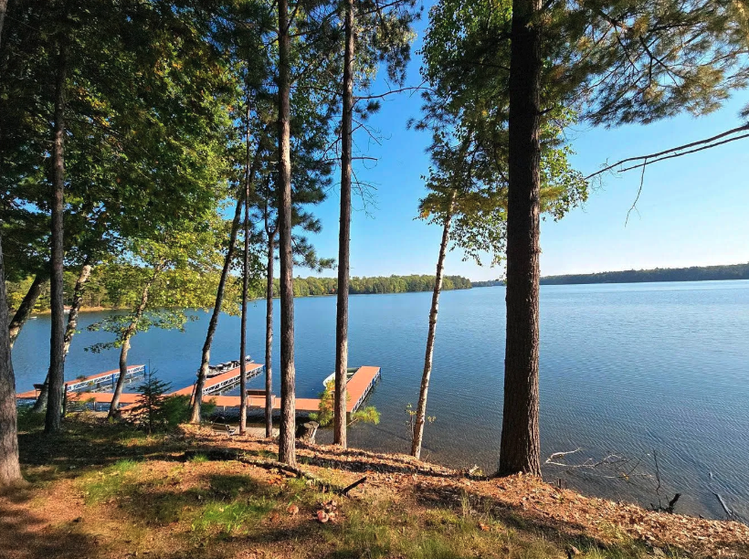 Pine Haven Cabin #2